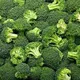 broccolai's avatar