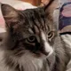 mcmdev's avatar